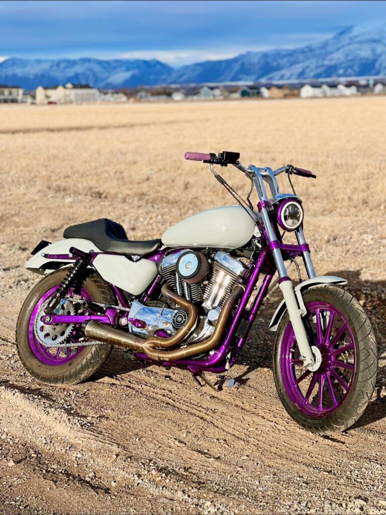 A purple motorcycle parked on the side of a dirt road.